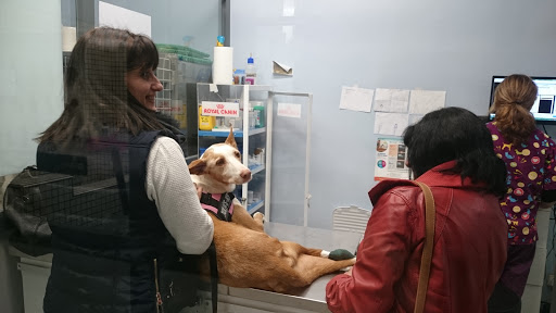 Centro Veterinario Roquetes – Les Roquetes