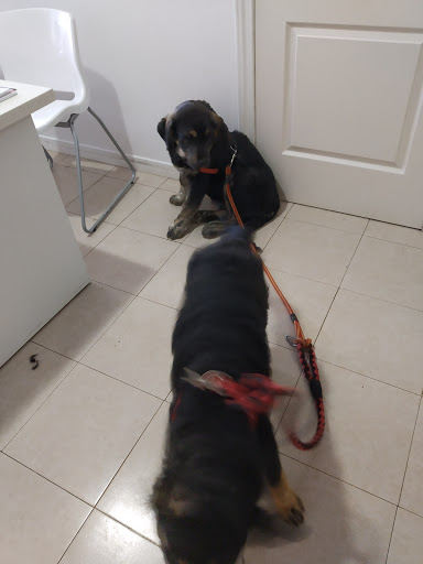 Centro Veterinario Sahagun – Sahagún