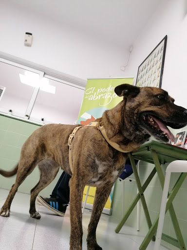 Centro Veterinario San Bartolome – San Bartolomé