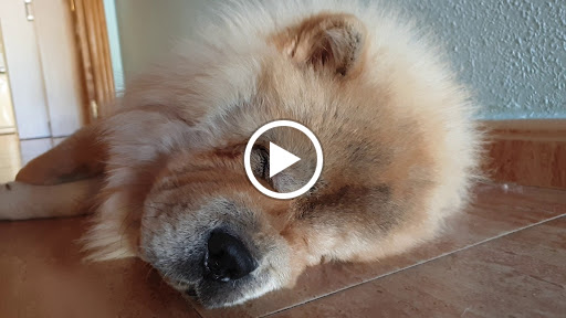 Centro Veterinario San Felix – Cartagena