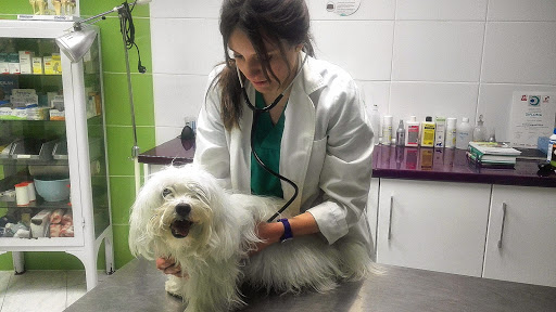 Centro Veterinario San Gregorio – Galapagar