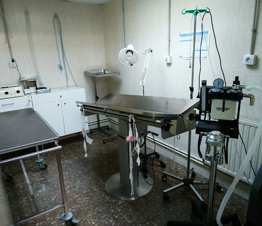 Centro Veterinario Sanivet – Palau-solità i Plegamans