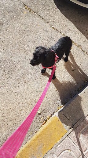 Centro Veterinario Santa Cruz (Bazar de La Mascota) – Torrijos