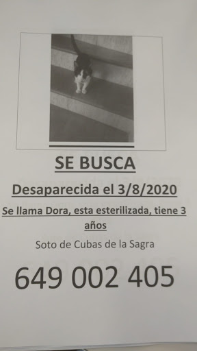 Centro Veterinario Serranillos – Serranillos del Valle