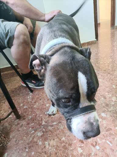 Centro Veterinario Tarancon – Tarancón