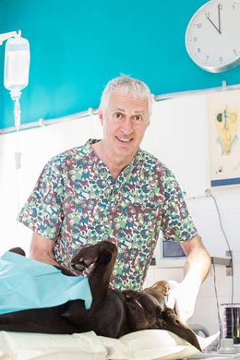 Centro Veterinario Tiana – Tiana