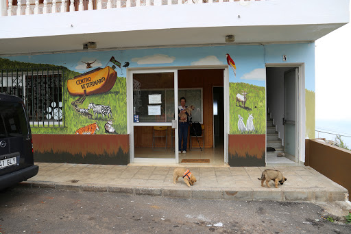Centro Veterinario Tijarafe – Tijarafe