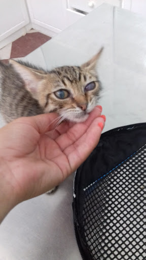 Centro Veterinario Todocan Mascotas y Salud – Puerto Real