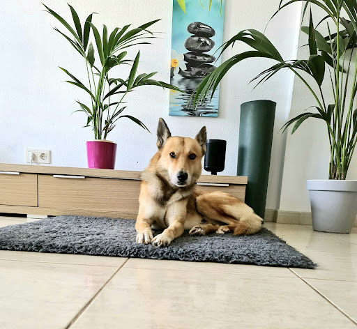 Centro Veterinario Tucán – Vecindario