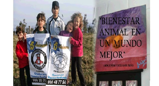 Centro Veterinario Val Da Louriña Sl – Peinador