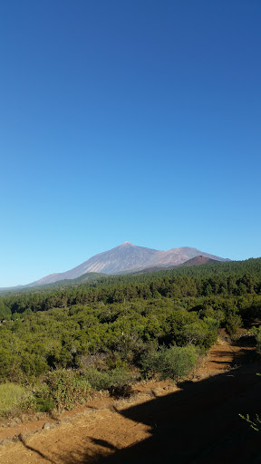 Centro Veterinario Vecan S.l. – San José de Los Llanos
