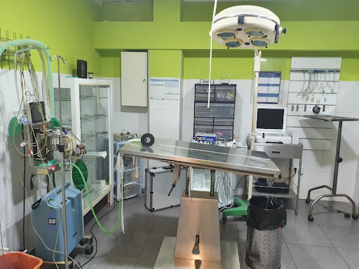 Centro Veterinario Veravet – Vera