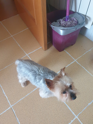 Centro Veterinario Vetplaza – Valdemoro