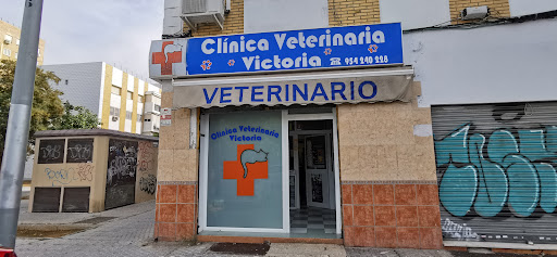 Centro Veterinario Victoria – Sevilla