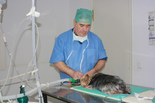 Centro Veterinario Villafranca – Villafranca de los Caballeros