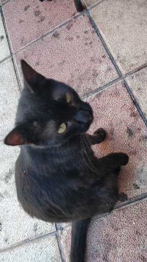 Centro Veterinario Villaobispo – Villaobispo de las Regueras