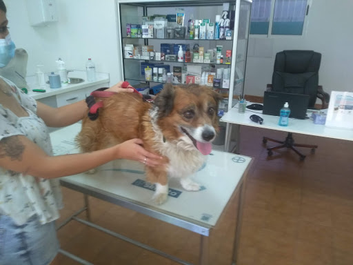 Centro Veterinario Zeneta – Peluquería Canina y Felina – Zeneta