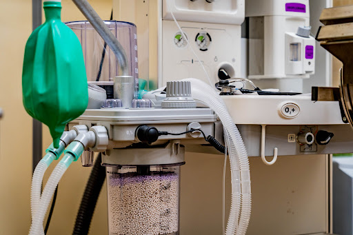 Centro Veterinario de La Plana – Castellón de la Plana