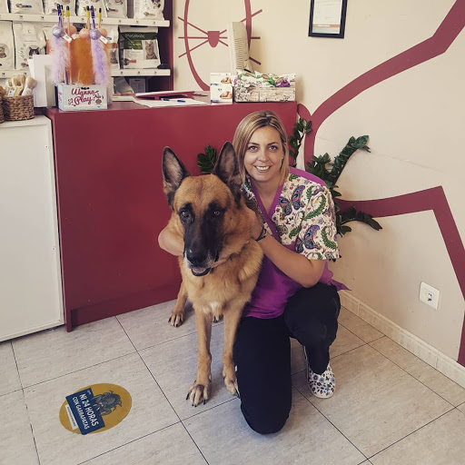 Centro Veterinario del Delta A Sant Carles de La Rapita-berta Sotoca – La Ràpita