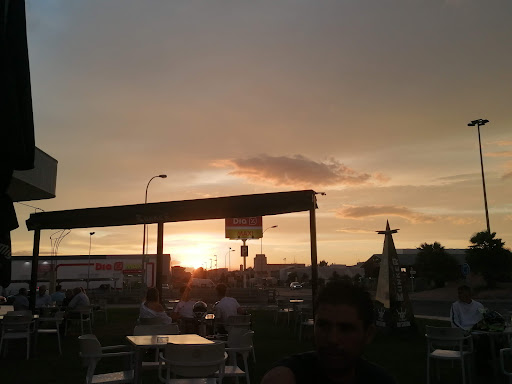 Centro Veterinario del Pla – Mollerussa