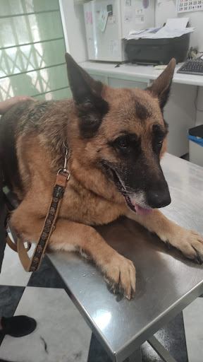 Cevecam Centro Veterinario – Cúllar Vega