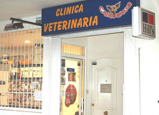 Chihuahua Clínica Veterinaria – Madrid