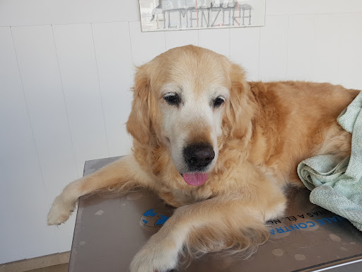 Clínica Almanzora Veterinaria – Albox