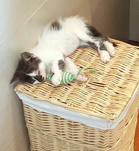 Clínica Can – Las Palmas de Gran Canaria