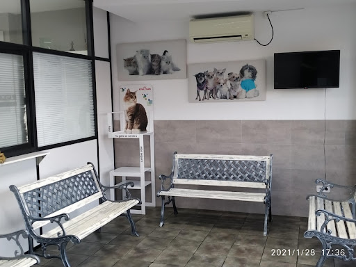 Clínica Cas Menescal – Marratxinet