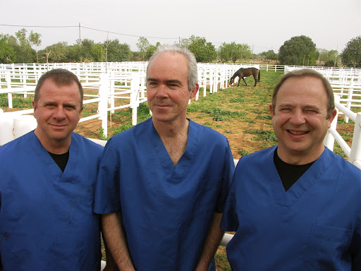 Clínica Equina Mallorca – Algaida