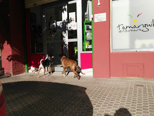 Clínica Felina Sevilla. – Sevilla