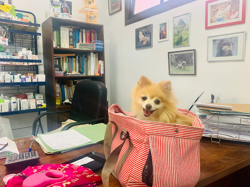 Clínica Homeopatica Ramón Ripoll – Manacor