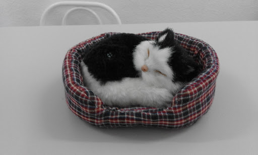 Clínica Jara – Collado Villalba