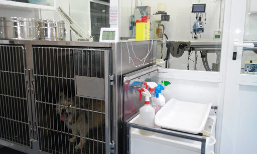 Clínica L’arca – Sant Feliu de Guíxols