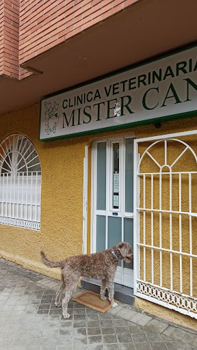 Clínica Mister Can – Madrid