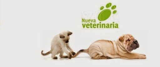 Clínica Nueva Veterinaria – Nueva