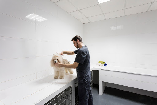 Clínica Sant Antoni – Puçol