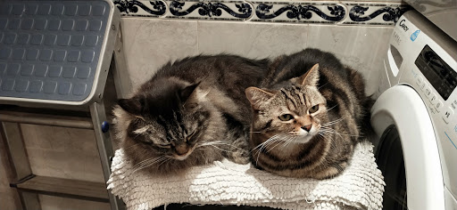 Clínica Sotomayor – Madrid