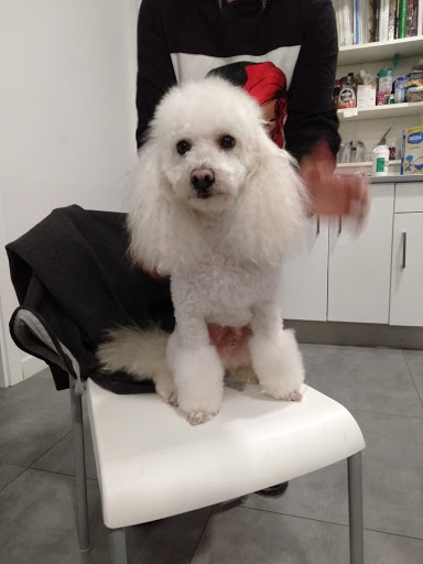 Clínica Taimyr – Paracuellos de Jarama