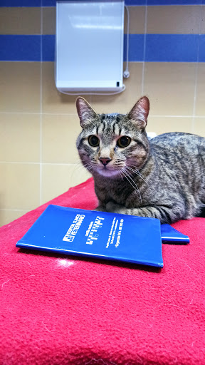 Clínica Venterinaria Hosclivet – Talavera de la Reina