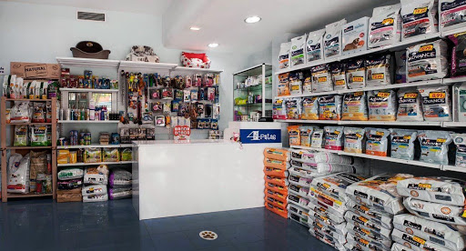 Clínica Veterinaria 4 Patas – Casillas