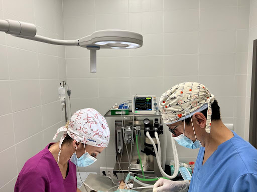 Clínica Veterinaria 7 Vidas-la Nucia – La Nucia