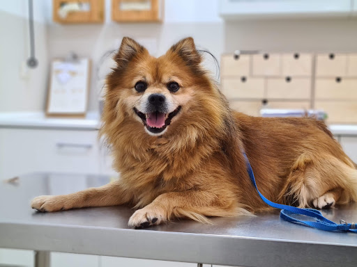 Clínica Veterinaria A Farola. – Redondela