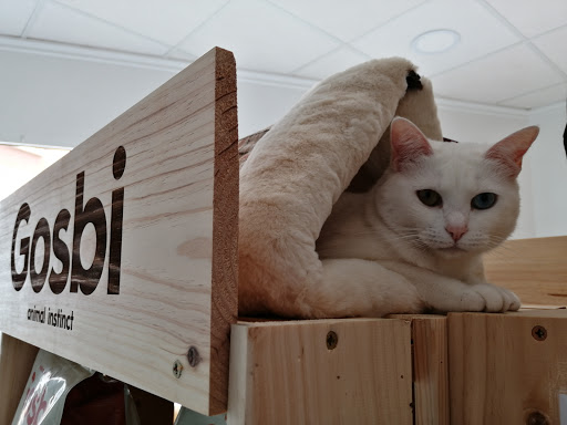 Clínica Veterinaria Abrazos – La Ñora – La Ñora