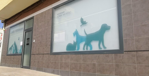 Clínica Veterinaria Adrià Moreso – Amposta