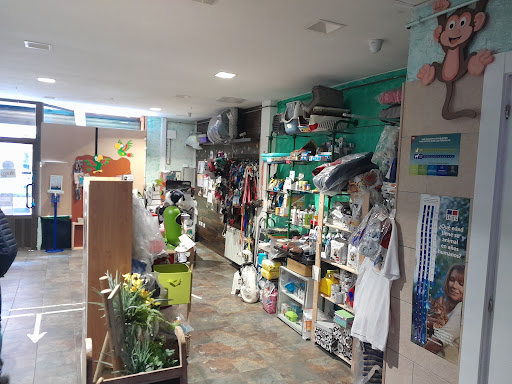 Clínica Veterinaria Akos – Burgos