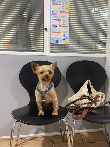 Clínica Veterinaria Alacant – Alicante