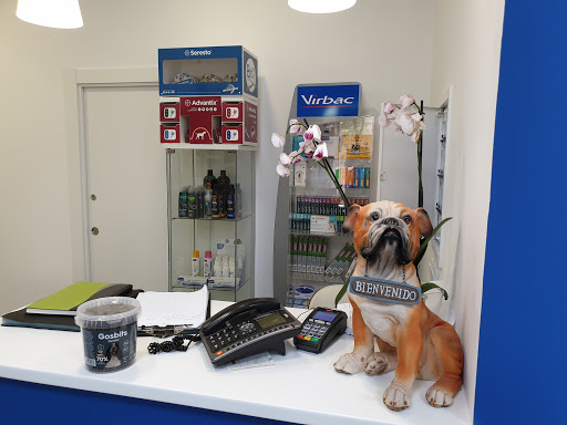 Clínica Veterinaria Albeitar – Alcantarilla