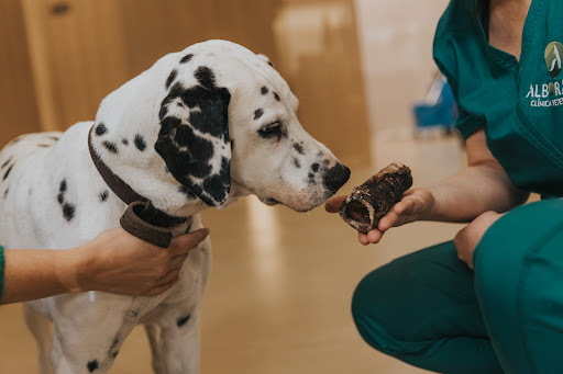 Clínica Veterinaria Alborada – Sarria