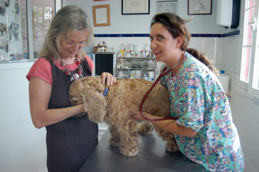 Clínica Veterinaria Alborán – San Pedro de Alcántara